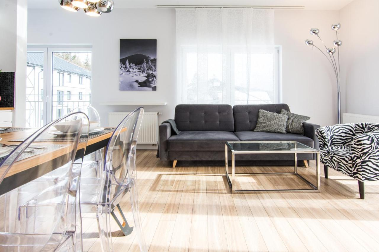 Apartamenty Izerskie - Ul. Zakopianska 22 Сверадув-Здруй Экстерьер фото
